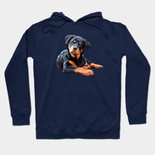 Rottweiler Welpe Hoodie